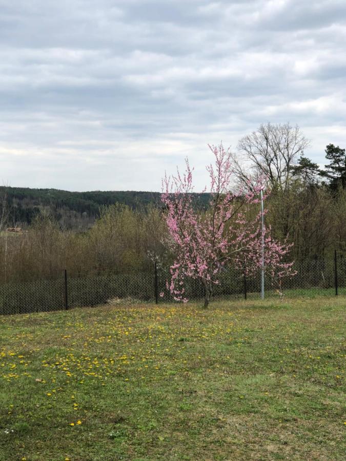 Landhaus Suedburgenland Villa Olbendorf Kültér fotó